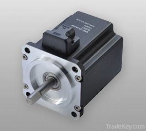 Brushless DC motor