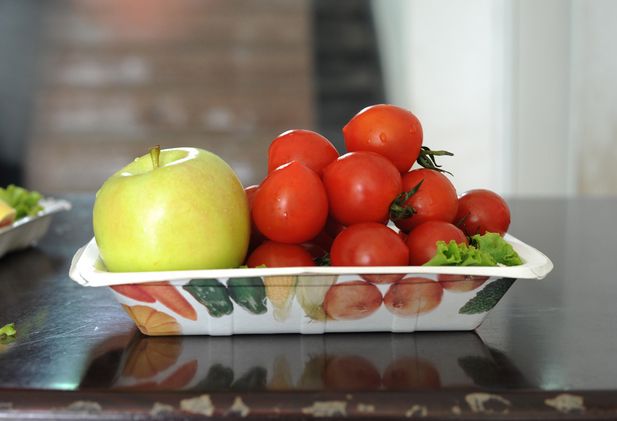 custom printed paper food tray