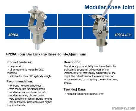 Knee Joints