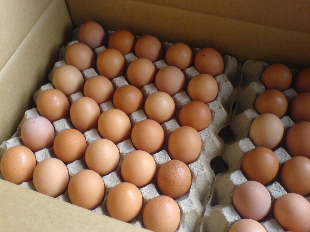 Farm Fresh Table Chicken Eggs