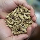 Premium Grade Wood Pellets DIN Plus