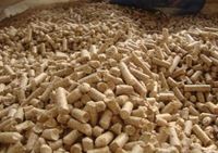 High calorific value wood pellet