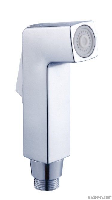 abs toilet shattaf B80011