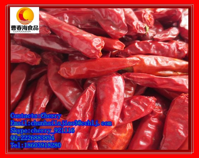 bullet chilli dried red chilli medium hot