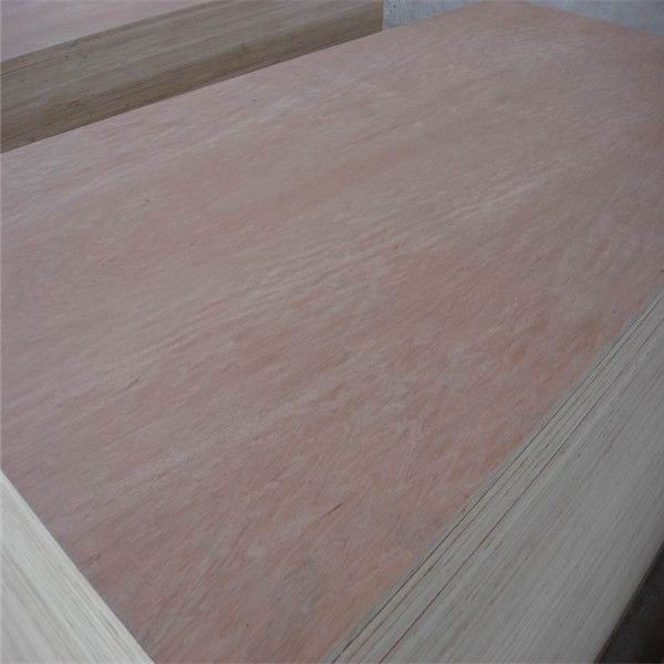 Bintangor plywood/cheap plywood