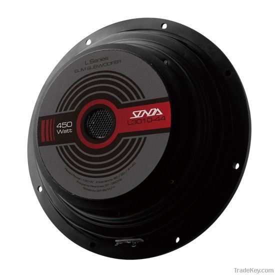 12" Car Subwoofer