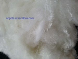 Virgin polyester staple fibre / PSF 1.5D*38mm  Spunlace