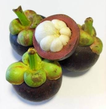 fresh mangosteen