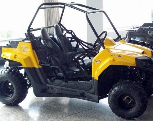 Good Price Diesel UTV For Farm