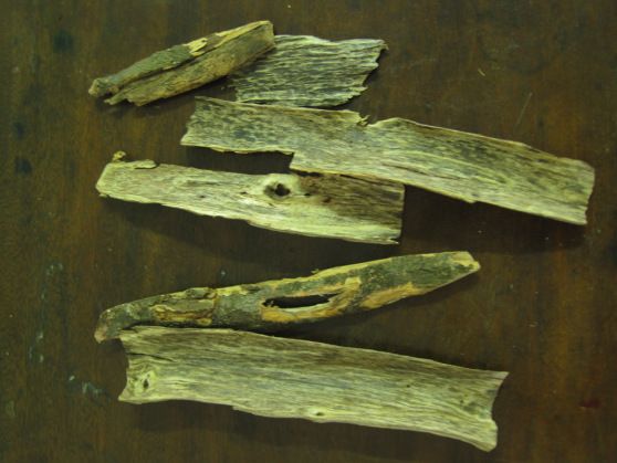 Agarwood Skin