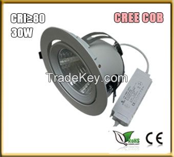 30W COB LED Elephant Trunk Light