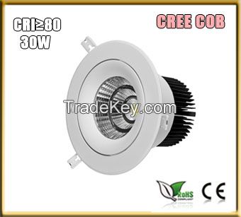 30W COB Down Light