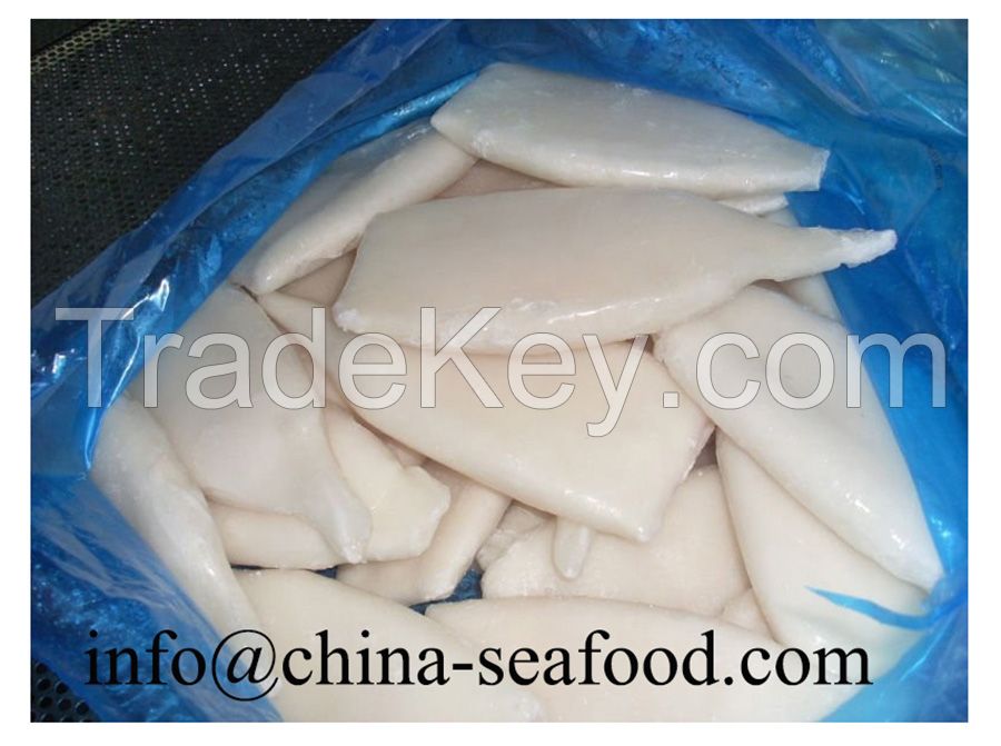 frozen squid tube 161026