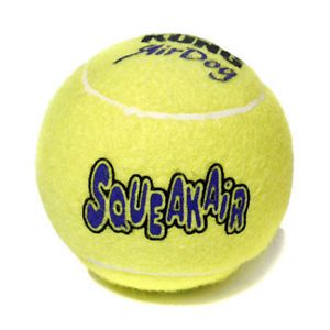 squeaker  tennis ball