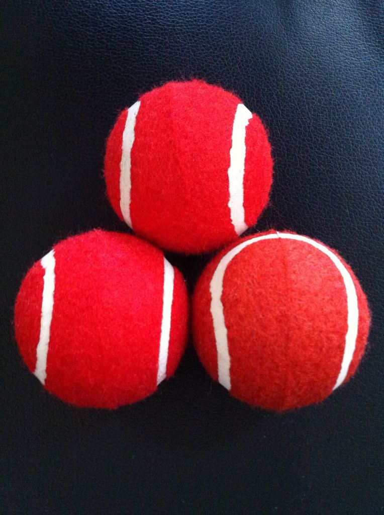 pet toy tennis ball