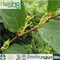 Polygonum Cuspidatum Extract