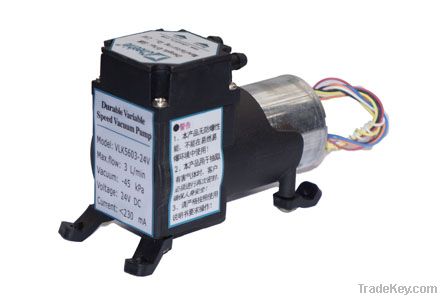 Durable Variable Speed Vacuum Pump