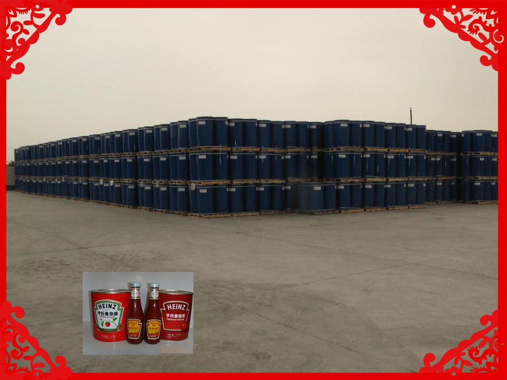 tomato paste in drum/bulk