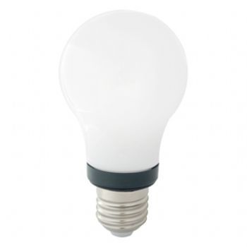 24V LED Bulb