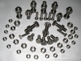 Titanium screw and nuts