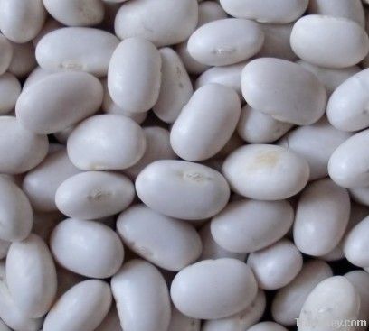 japanese type white beans