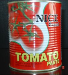 canned tomato paste