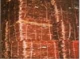 Copper Scrap( LDPE)