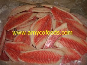 Tilapia Fillet at very low price