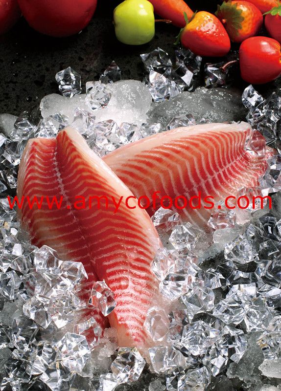 Frozen Tilapia Fillet, Tilapia Fillet SG