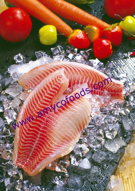 Tilapia Fillet at very low price