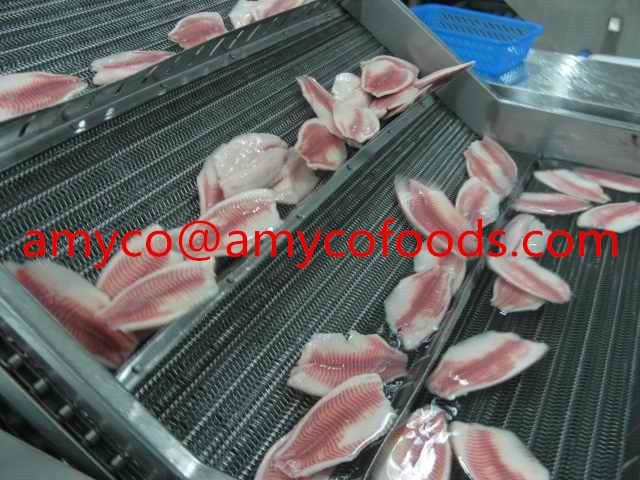 Frozen Tilapia Fillet at very low price, China Tilapia