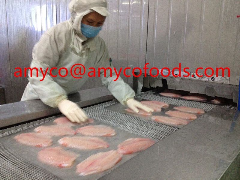 China Tilapia Fillet professioanl Tilapia Supplier/producer