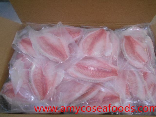 Frozen Tilapia Fillet Supplier