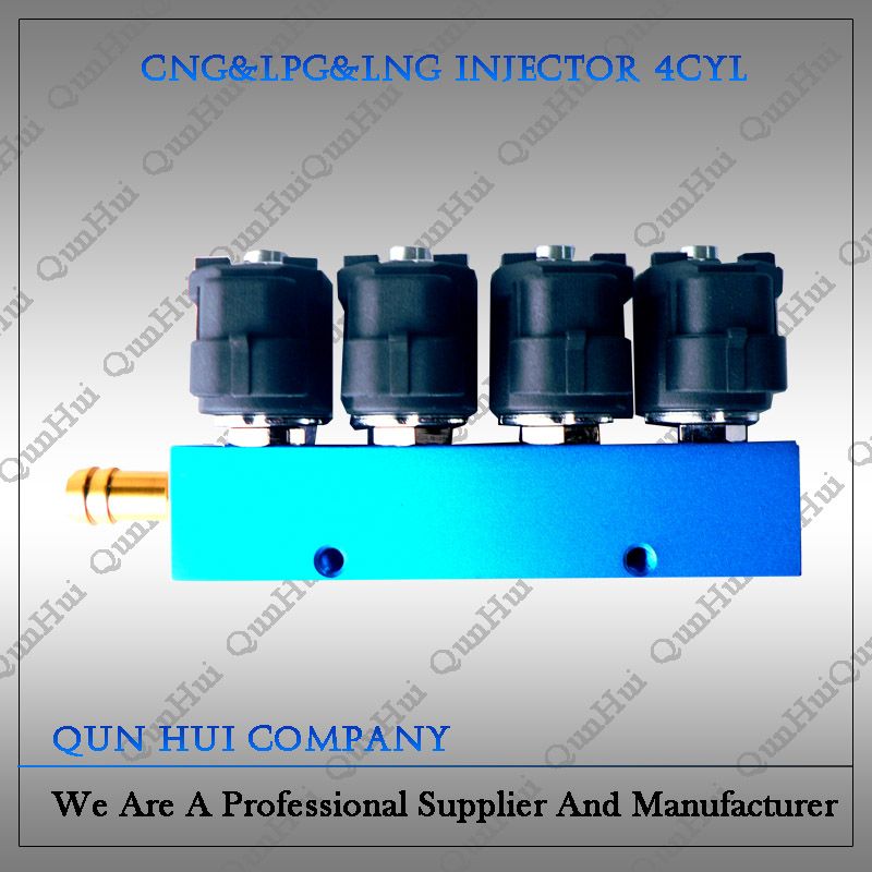 CNG LPG common rail injection valve