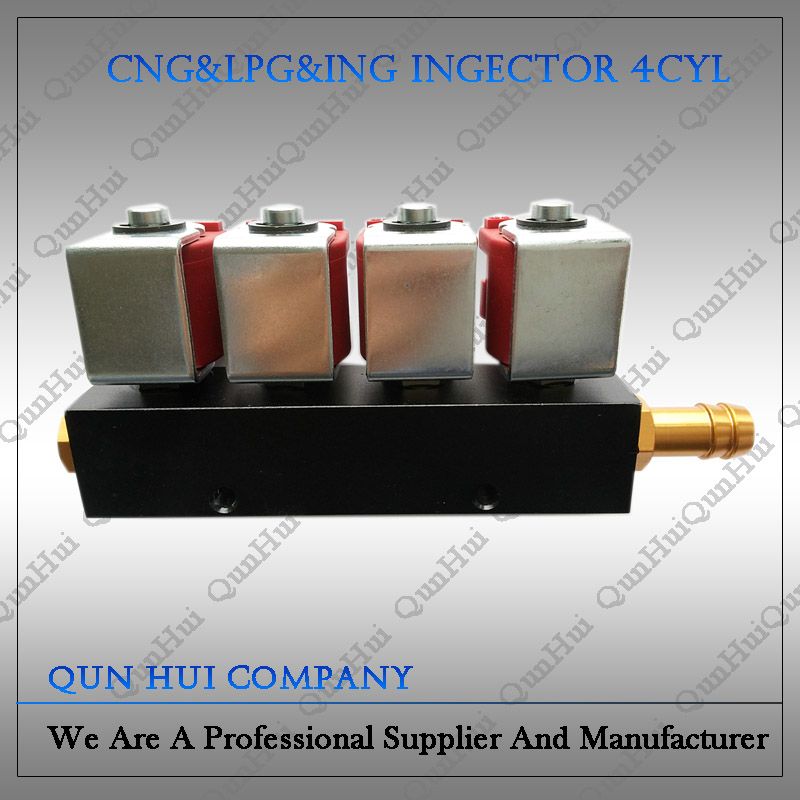 CNG/LPG Conversion Kits Injector Rail