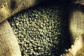 Export Green Coffee Beans | Green Coffee Bean Importer | Green Coffee Beans Buyer | Buy Green Coffee Beans | Green Coffee Bean Wholesaler | Green Coffee Bean Manufacturer | Best Green Coffee Bean Exporter | Low Price Green Coffee Beans | Best Quality Gree