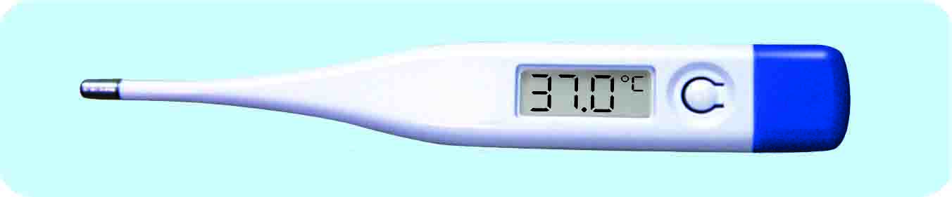 Digital Thermometer