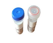 Ultra Rapid DNA Ligation Kit