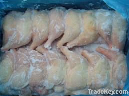 Frozen Chicken &amp; Chicken Breast