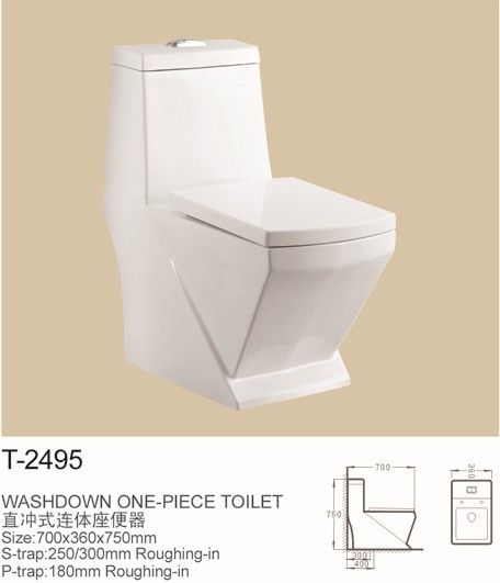 washdown one-piece toilet