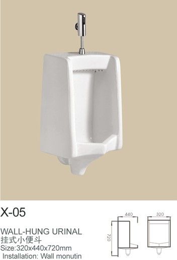 wall-hung urinal