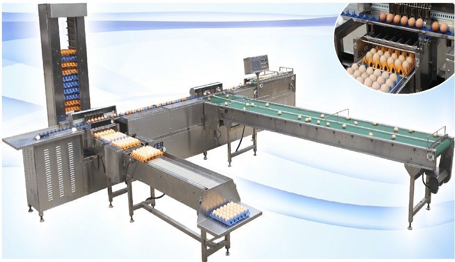 Egg grading machine