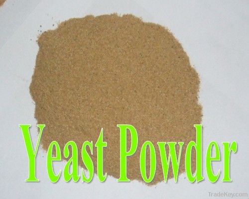 yeast feed 60%