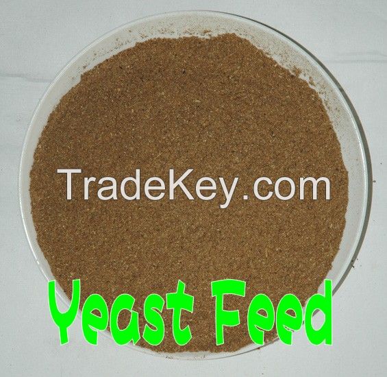 yeast powder 60%