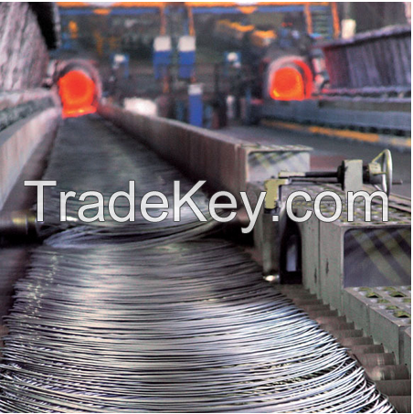 Galvanized Binding Iron Wire