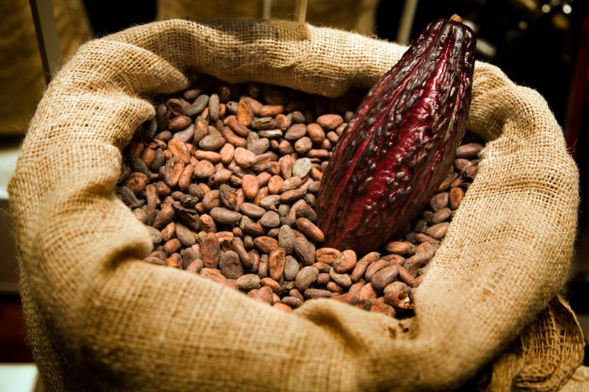 Cocoa beans