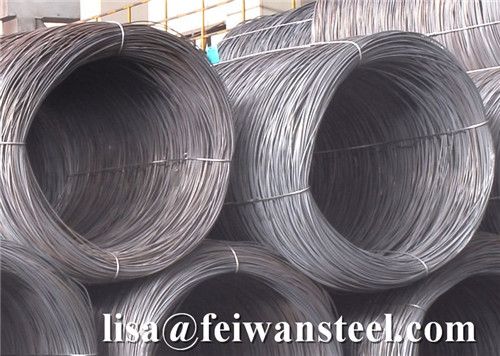 GI Steel WIre Rod, Steel Bar in Coils, Steel Wire Rod