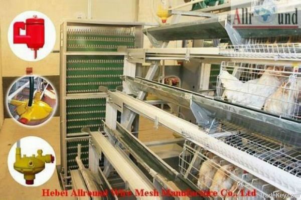 Egg layer cage