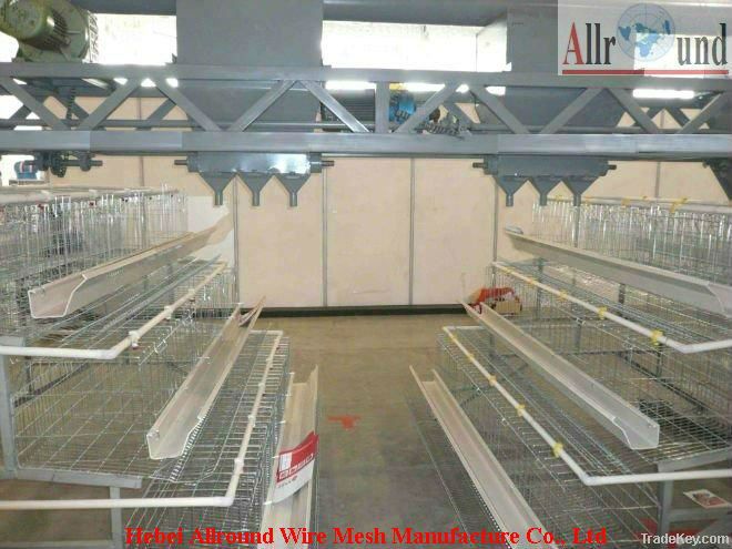 Pullets Rearing Cage