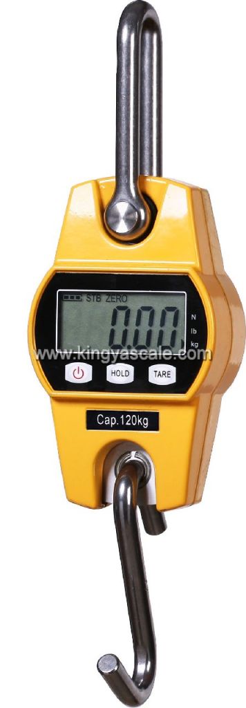 Electronic crane scales